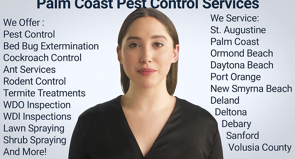 Palm Coast Pest Control Services